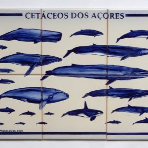 Painel 6 azulejos 45X30 Tema Cetáceos