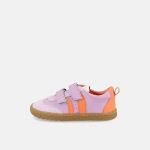 Ténis Delfin - Lila | Blanditos SS26