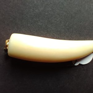 Pendente dente c/ ouro