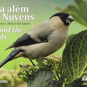 Livro, Para além da nuvens