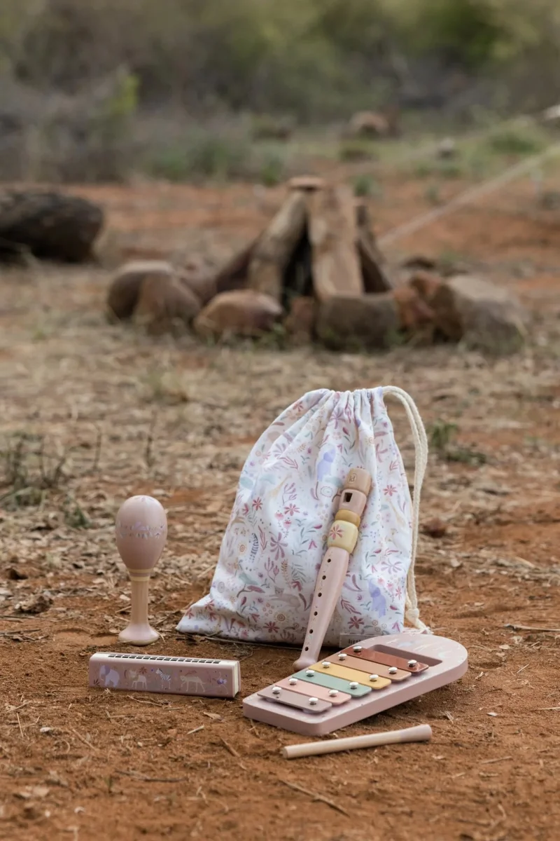Conjunto Musical Rosa - Safari Friends - Image 5